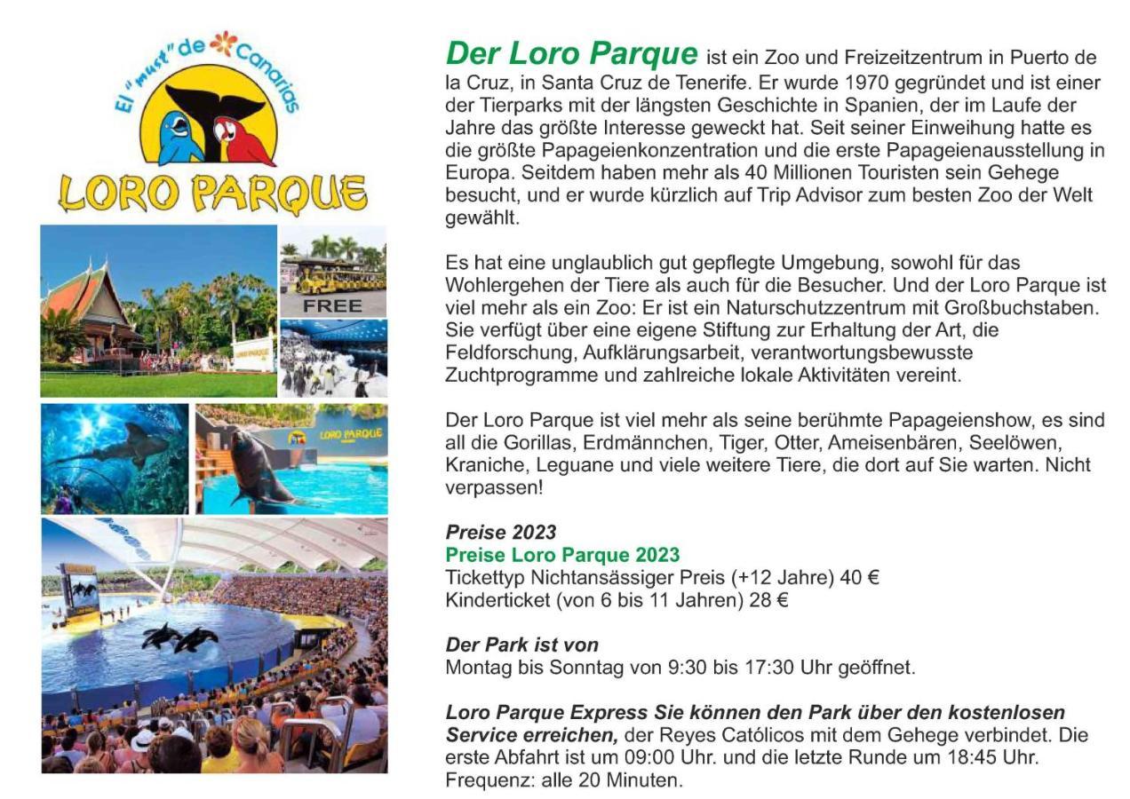 - Sun House - Holidays - Apartament