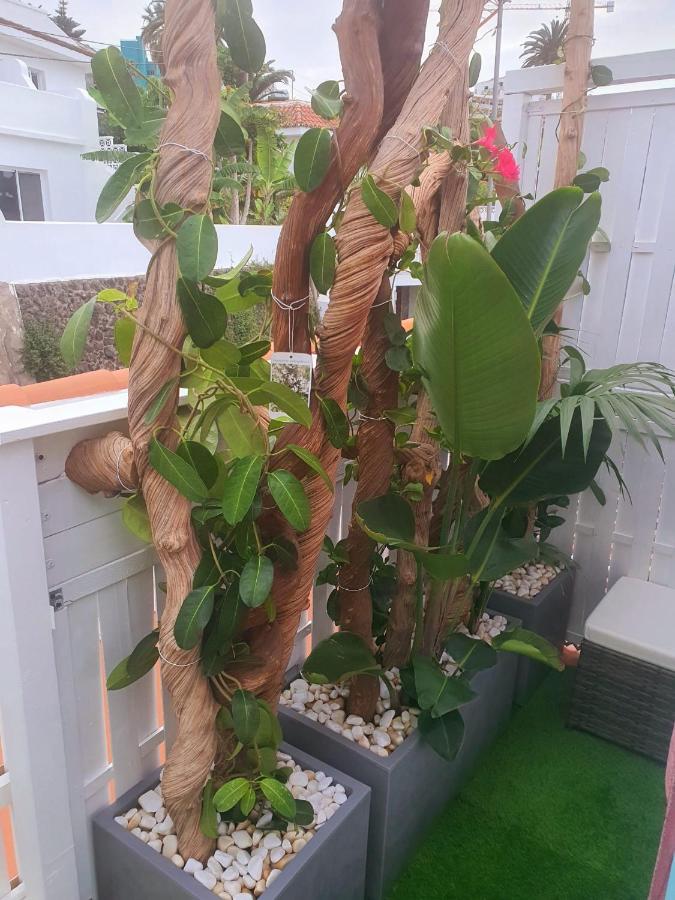 Appartement - Sun House - Holidays -
